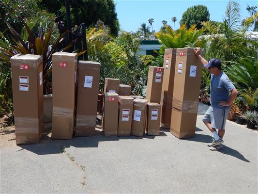 MAIL ORDER PLANT PHOTO IN BOXES